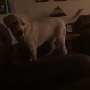 Meet your Posher, Jon